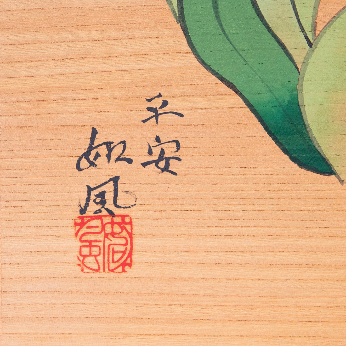 君子蘭(くんしらん)