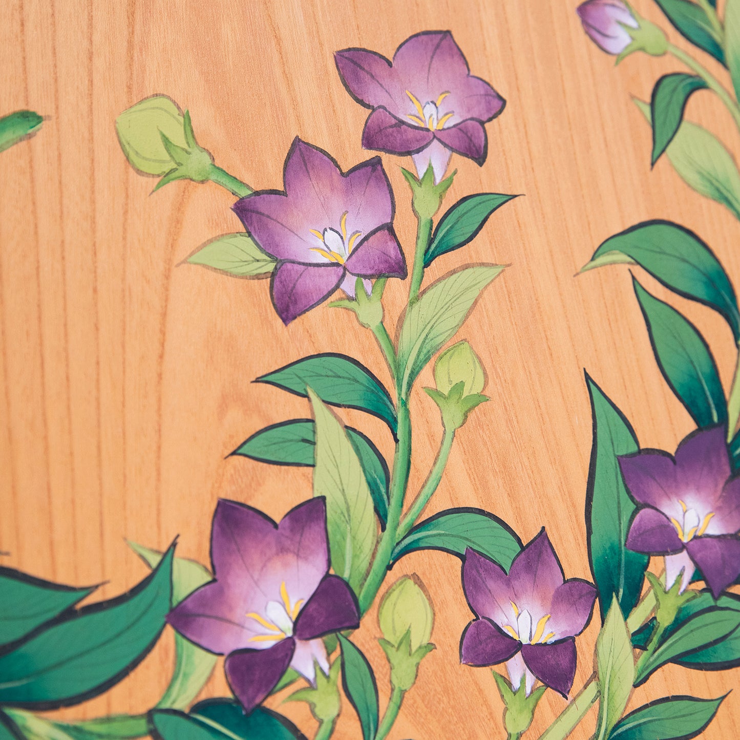 桔梗（ききょう）