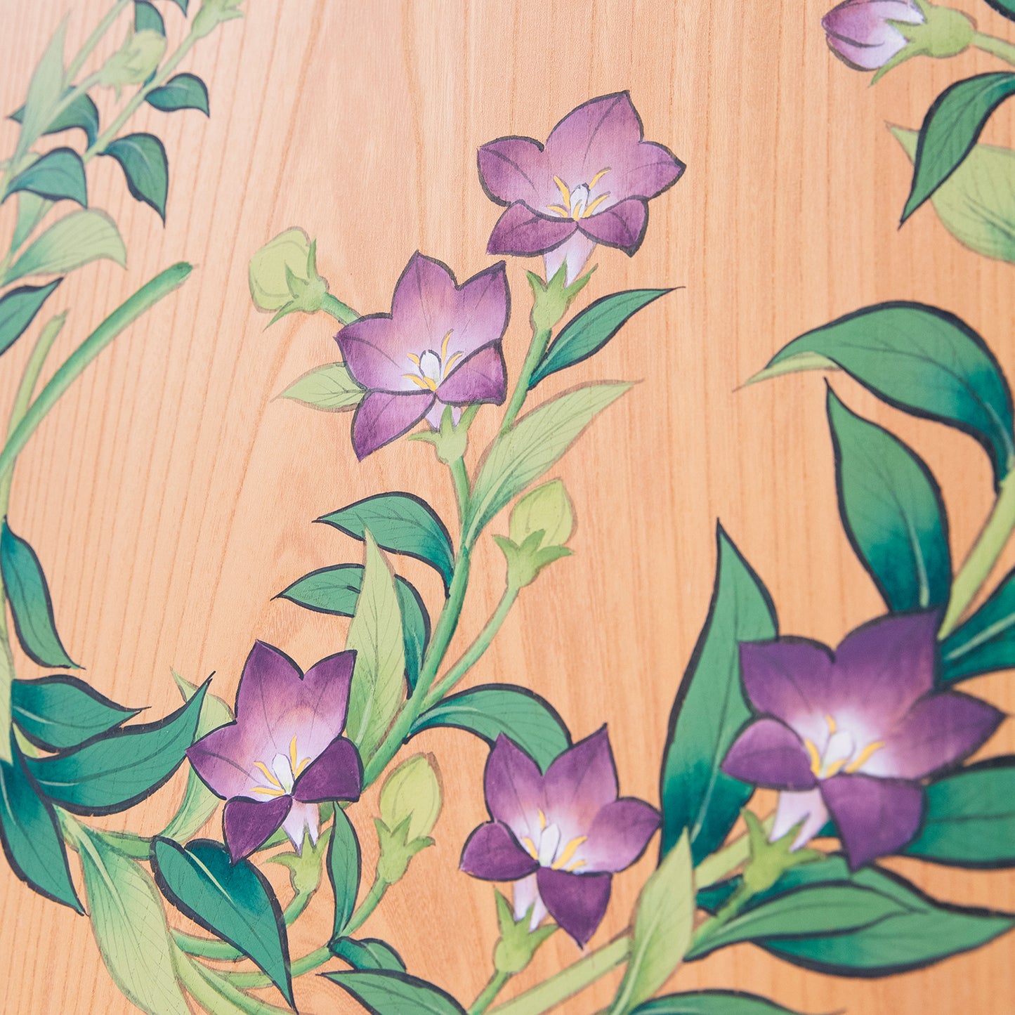 桔梗（ききょう）