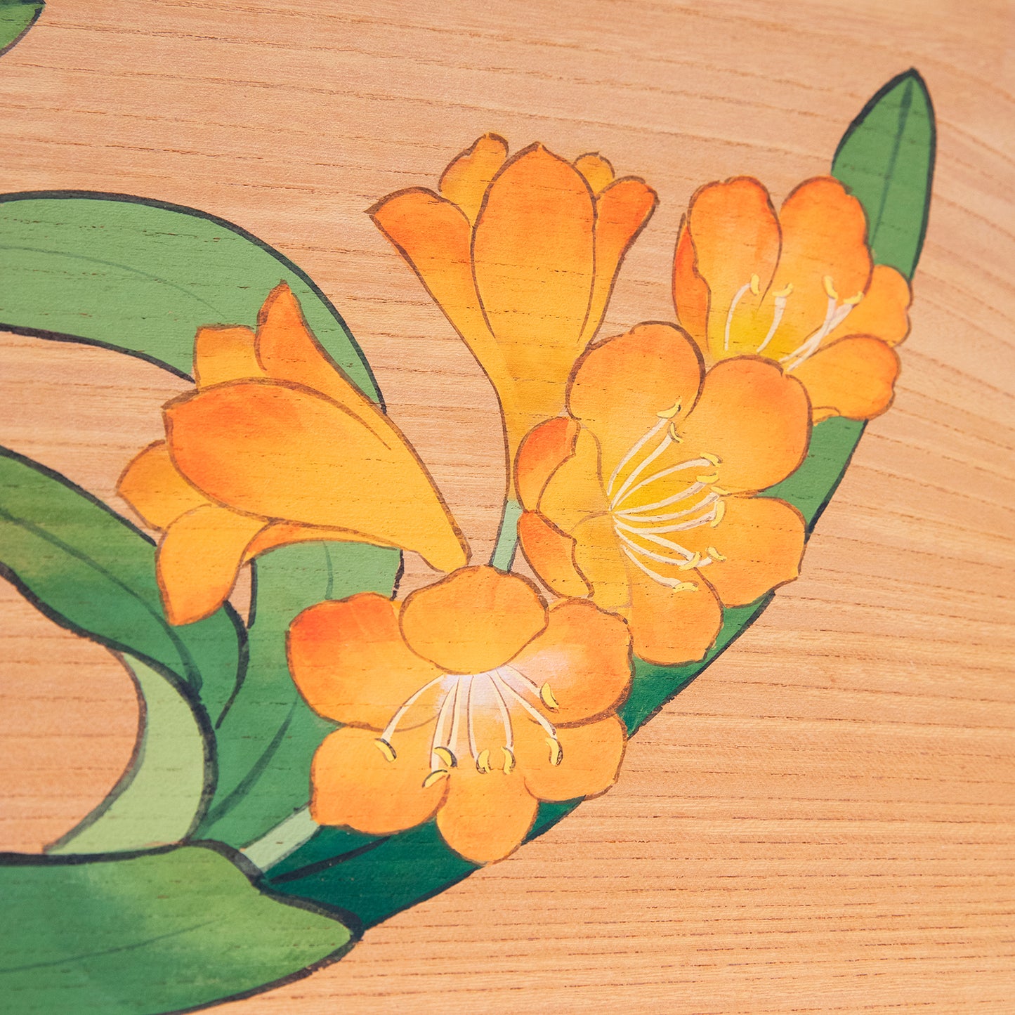 君子蘭（くんしらん）