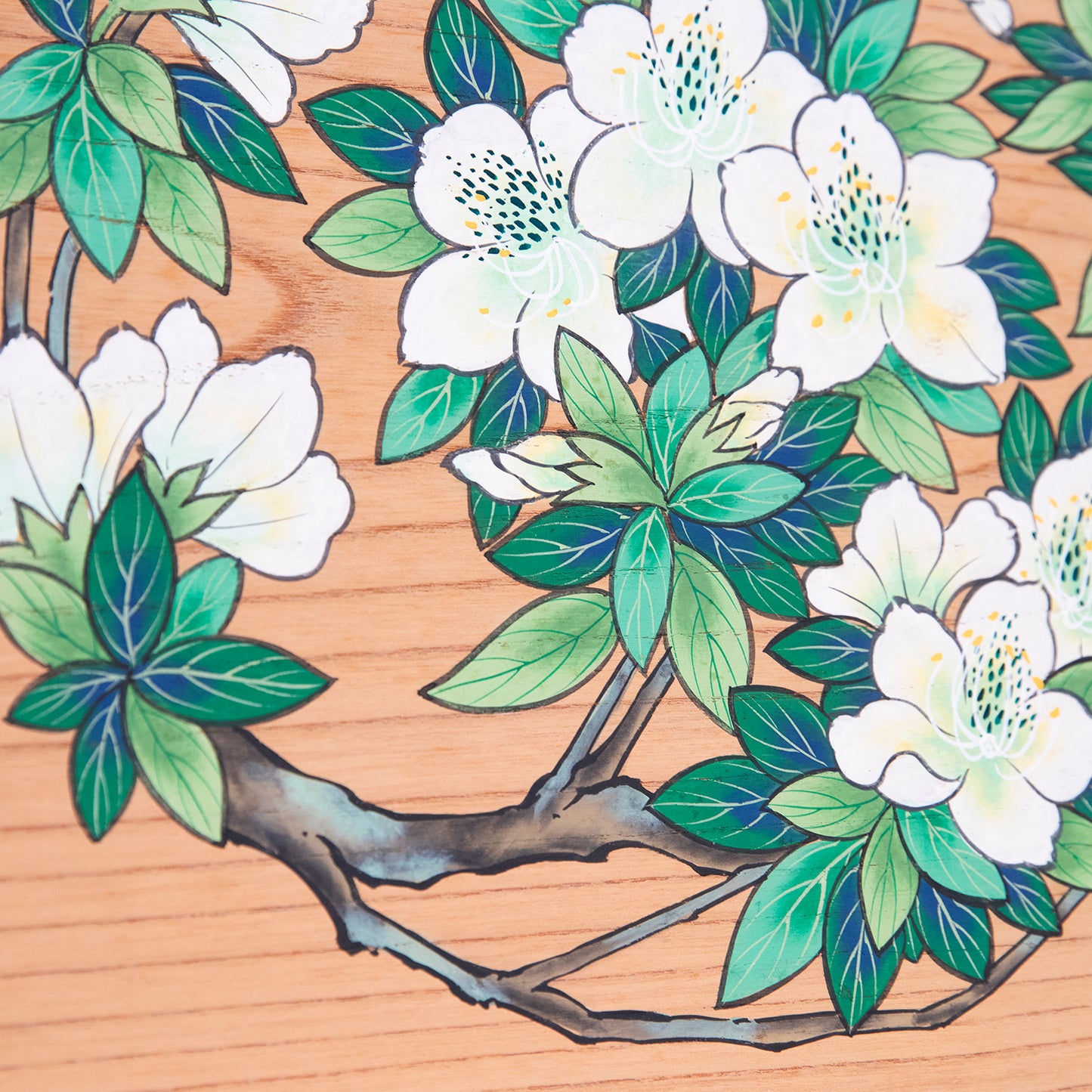 白躑躅（しろつつじ）