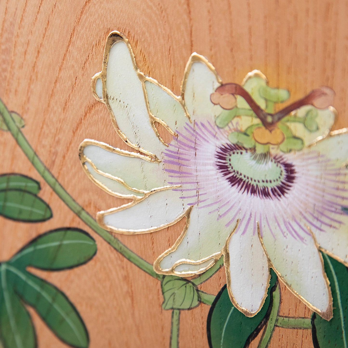 時計草（とけいそう）