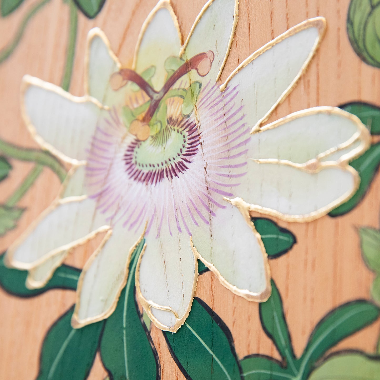 時計草（とけいそう）